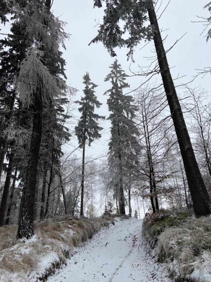 Útulný apartmán v srdci Krkonoš Jablonec nad Jizerou Esterno foto